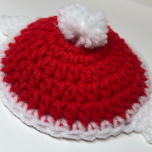 Santa hat tortoise costume | tortoise hat | tortoise Christmas  costume
