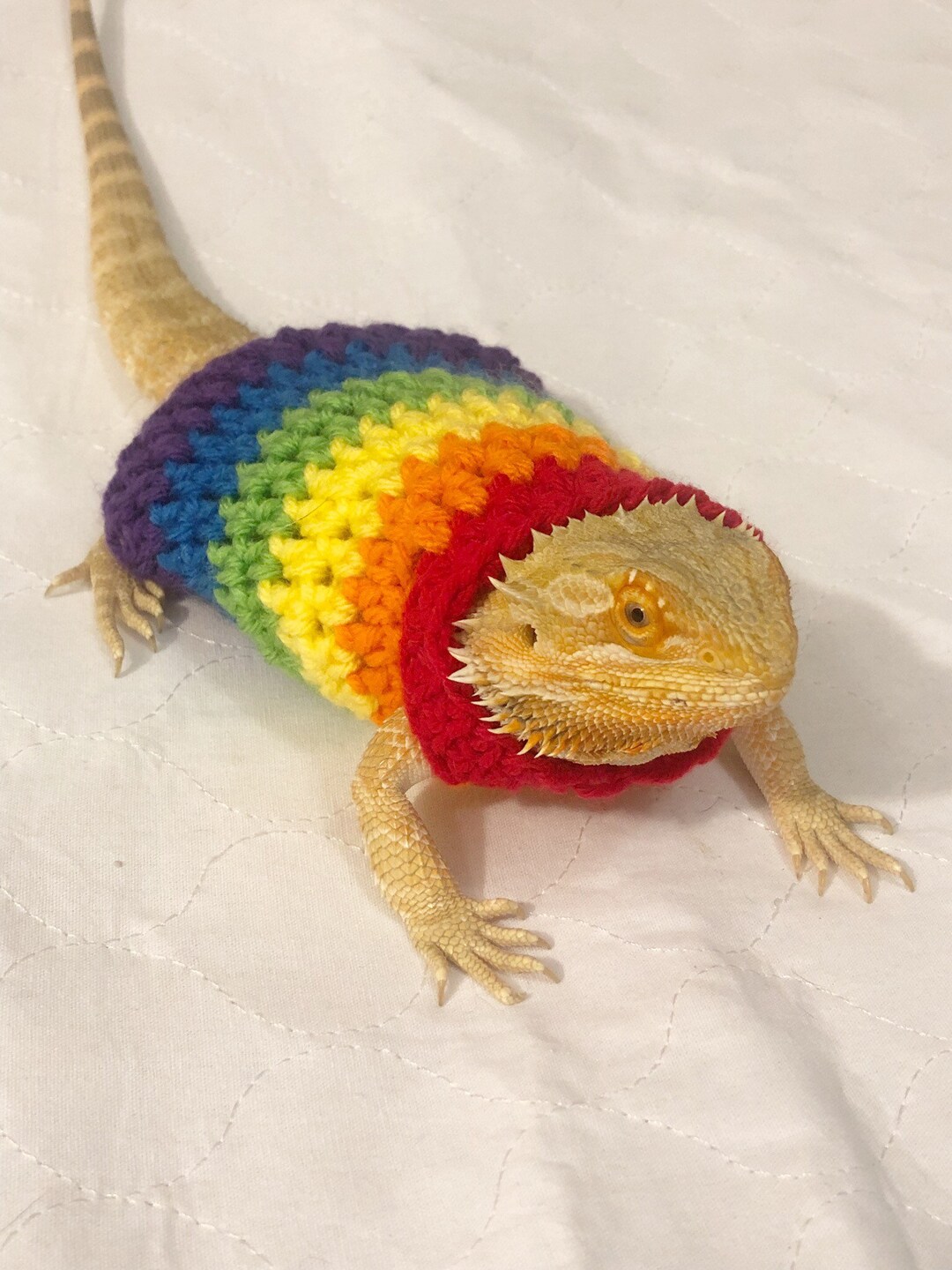 Crocheted Adult Rainbow Bearded Dragon Sweater Bearded Etsy
