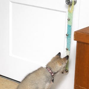 May include: A dog sits near a white door, looking at a colorful, woven door bell. The bell is attached to the door handle and has small silver bells hanging from it. The woven material has green, blue, and yellow sections.