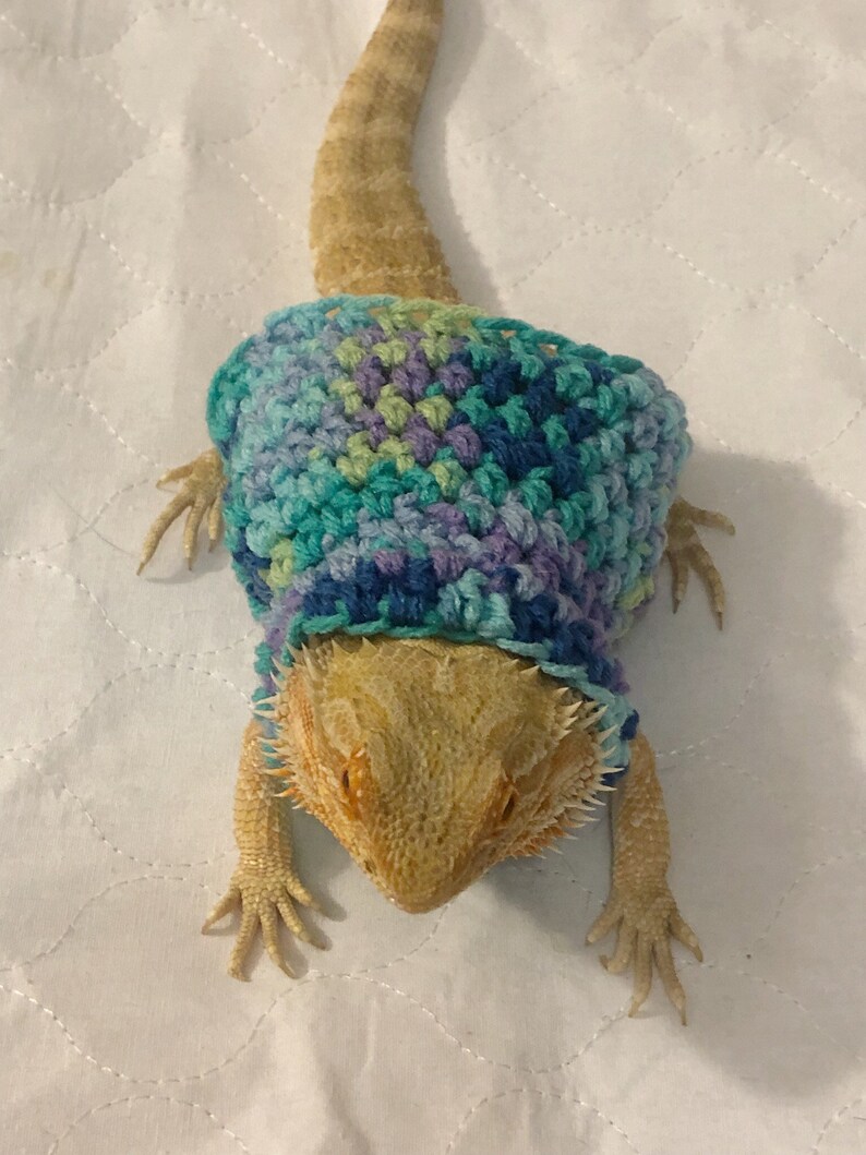 Crocheted Adult Bearded Dragon Sweater Bearded Dragon - Etsy