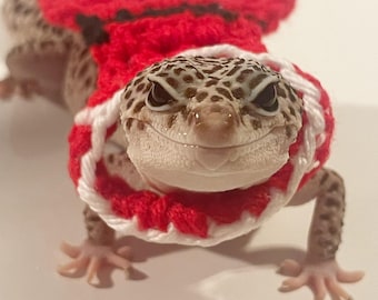 Santa gecko costume | gecko cape | crocheted | pet costume