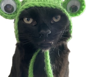 Sombrero de rana de ganchillo de gato y perro pequeño
