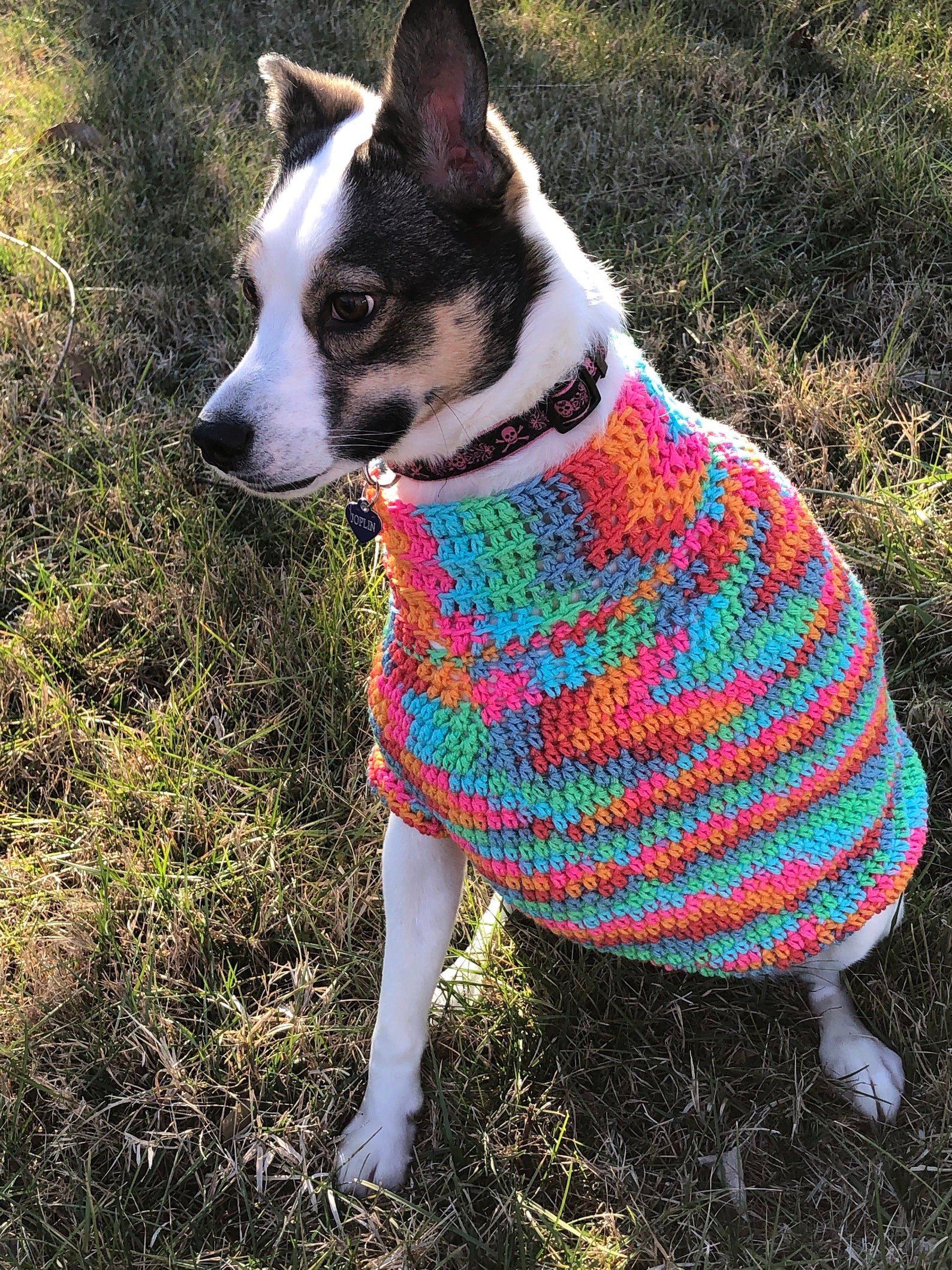 Crocheted tripod friendly dog sweater size small 10 15 Etsy