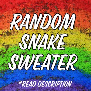 Könnte beinhalten: Ein regenbogenfarbener Hintergrund mit dem Text "RANDOM SNAKE SWEATER" in Weiß. Der Text "*READ DESCRIPTION" befindet sich in Weiß am unteren Rand des Bildes.