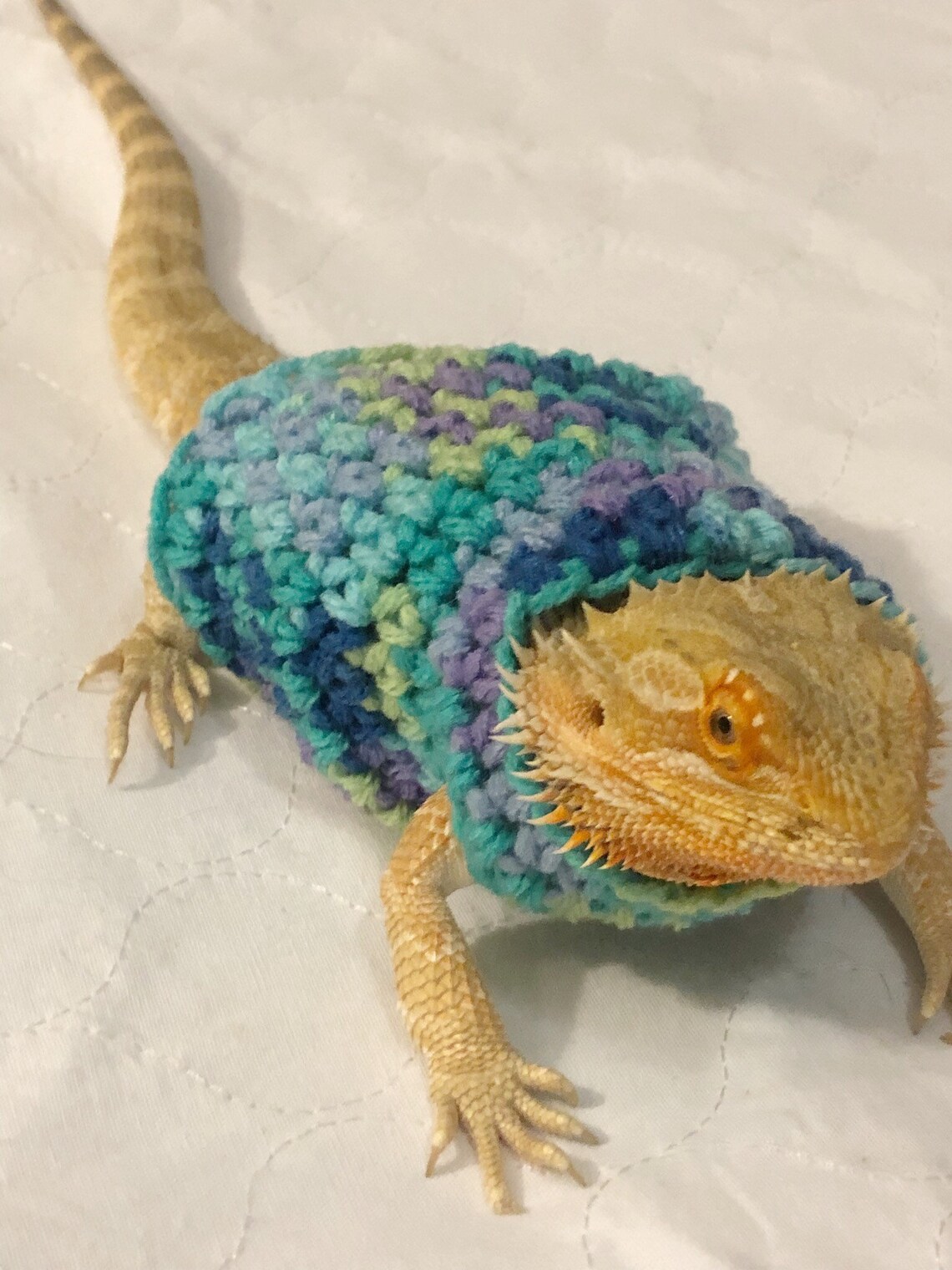 Crocheted Adult Bearded Dragon Sweater Bearded Dragon Etsy