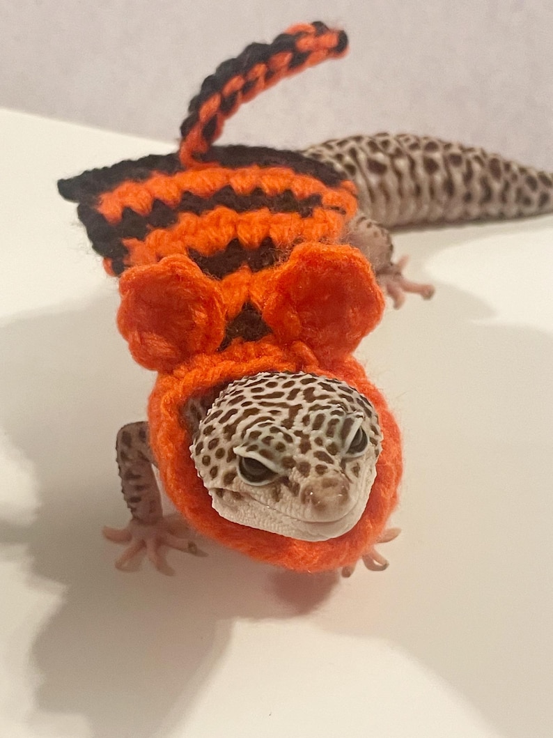 Crocheted Tiger Gecko Costume | Acrylic Pet Cape - Etsy