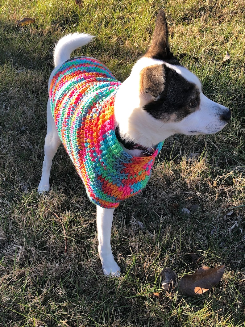 Crocheted Tripod Friendly Dog Sweater Size Small 10 15 Etsy