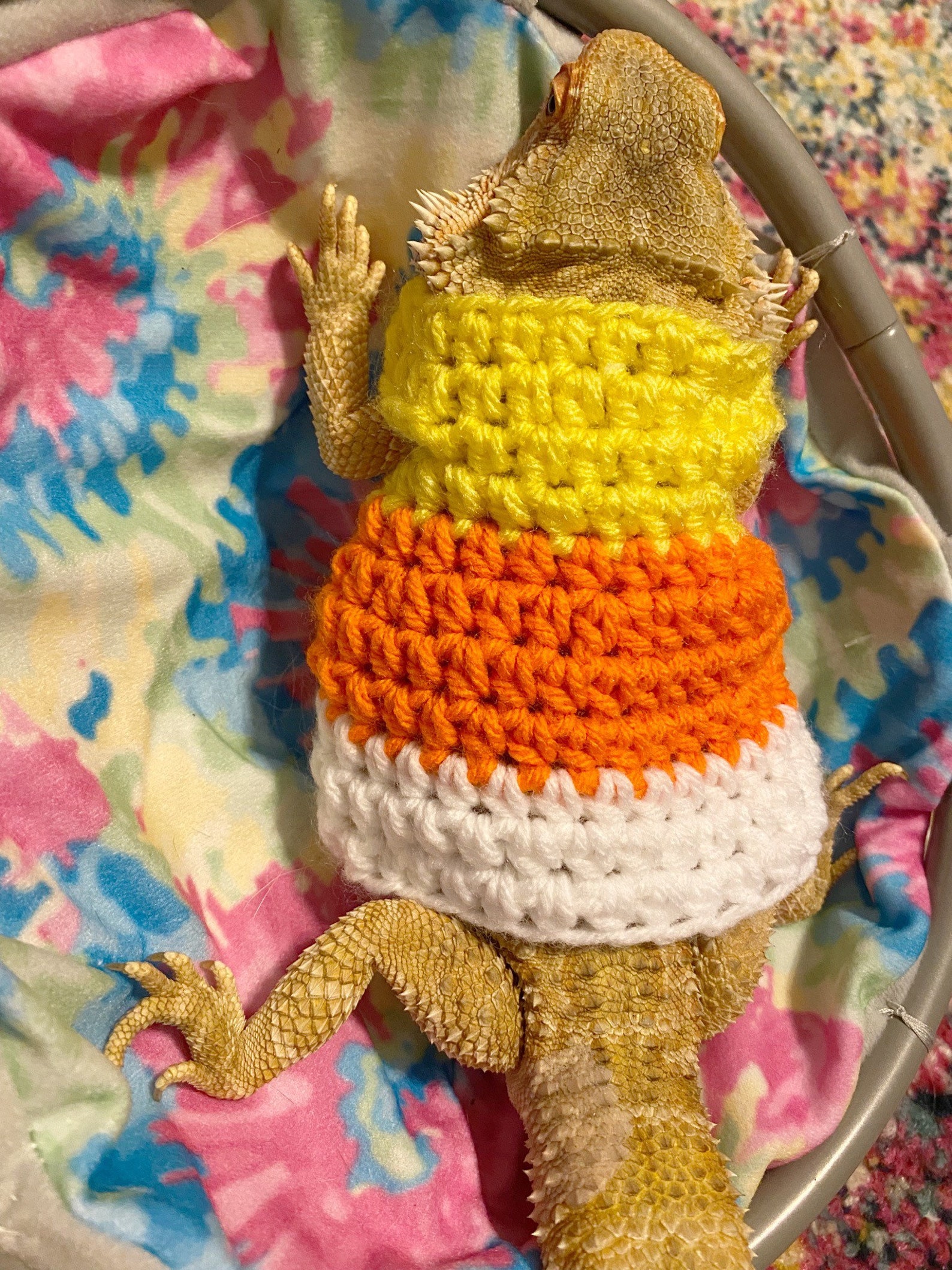 Crocheted Candy Corn Costume for Bearded Dragon - Etsy