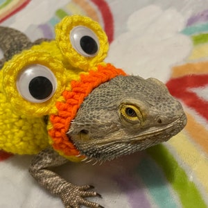Crocheted Adult Duck bearded dragon costume | bearded dragon costume | bearded dragon clothing