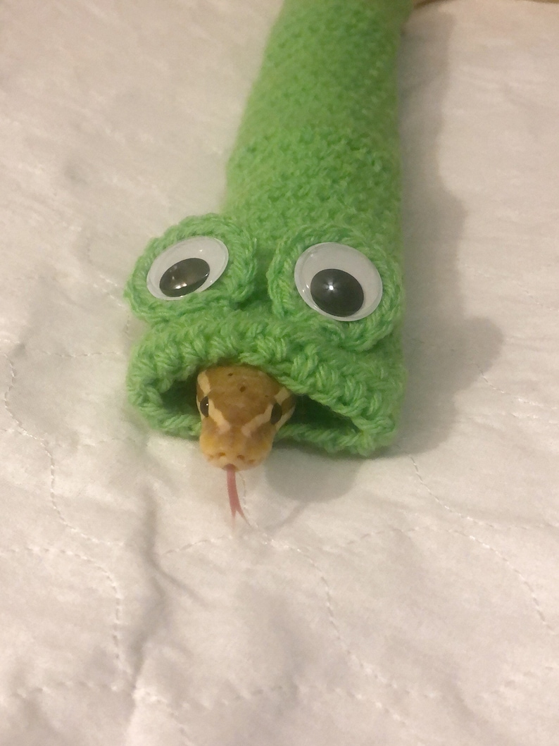 A snake head popping out of a crocheted green tube with googly eyes on it