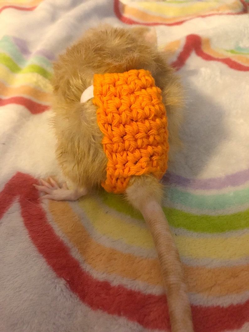 Create your own Rat diaper rat diaper Etsy