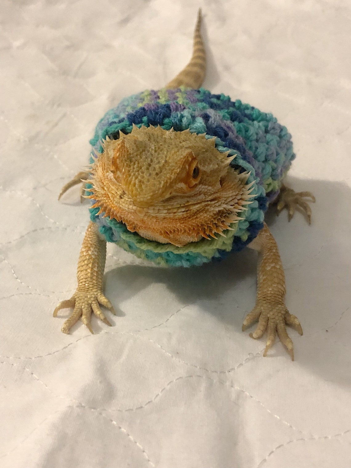 Crocheted Adult Bearded Dragon Sweater Bearded Dragon - Etsy