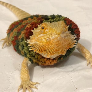 Fall Crocheted Adult bearded dragon  sweater | bearded dragon sweater | bearded dragon clothing