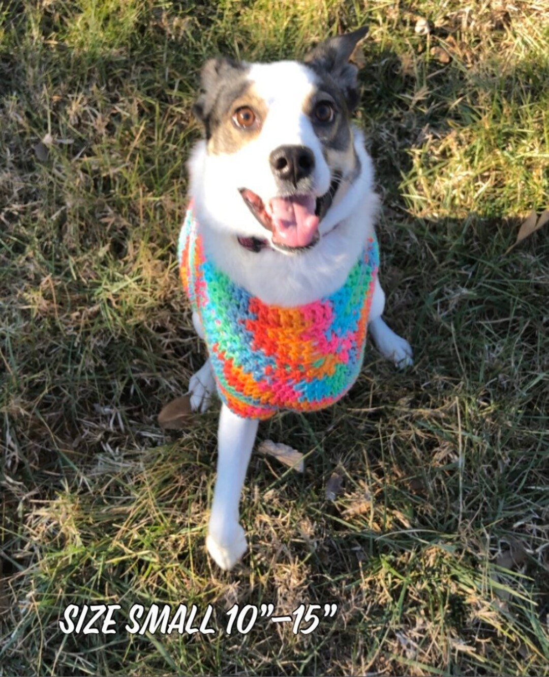 Crocheted Tripod Friendly Dog Sweater Size Small 10 15 Etsy