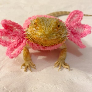 Crocheted Adult Axolotl bearded dragon costume | bearded dragon costume | bearded dragon clothing