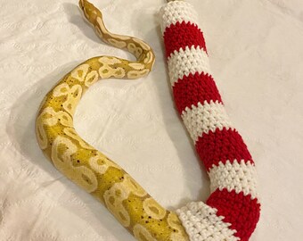 Candy cane Snake sweater | Christmas sweater | crocheted snake sweater | crocheted sweater