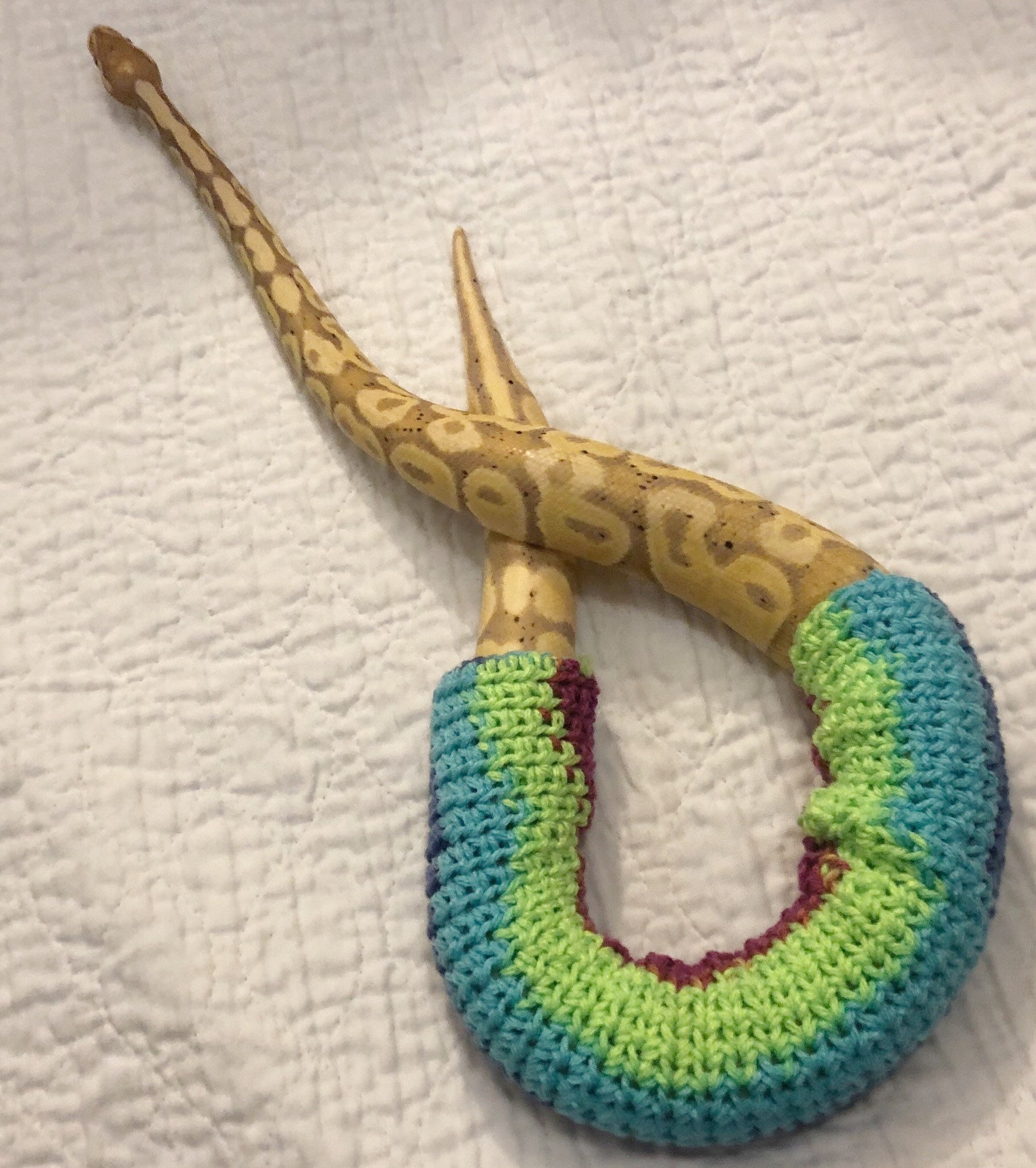 Snake sweater crocheted snake sweater crocheted sweater Etsy