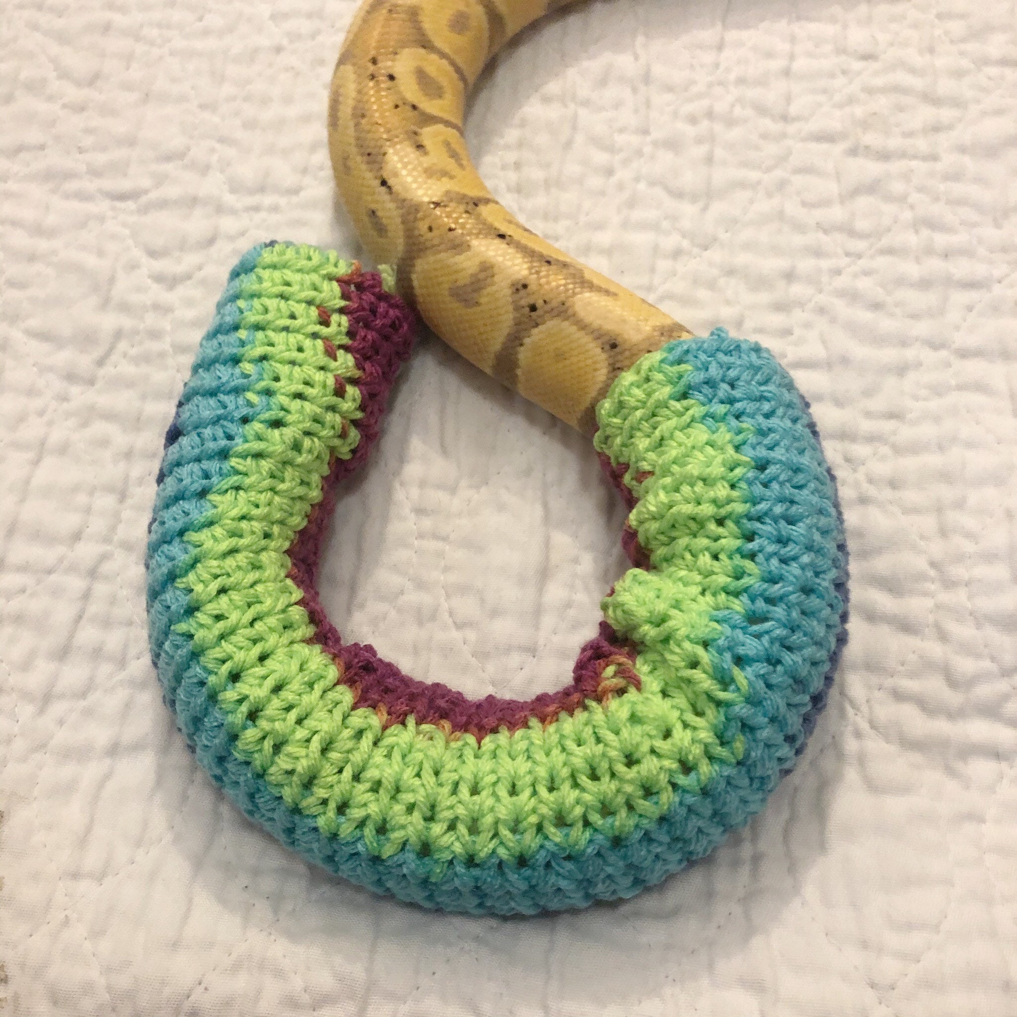 Party Snake Sweater Crocheted Snake Sweater Crocheted Etsy