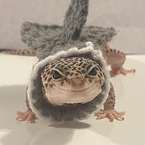 May include: A leopard gecko wearing a gray and white crocheted hat with ear-like projections. The gecko has a spotted pattern and is smiling. The hat has a white trim.