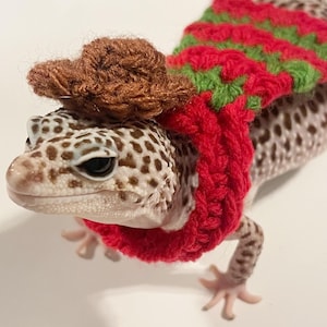 Könnte beinhalten: Ein Leopardgecko mit einem braunen Cowboyhut und einem rot-grünen Häkelpullover. Der Gecko hat ein geflecktes Muster auf seiner Haut. Der Hut ist klein und sitzt auf dem Kopf des Geckos.