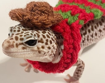 Crocheted Freddy Gecko Costume | Lizard Pet Cape