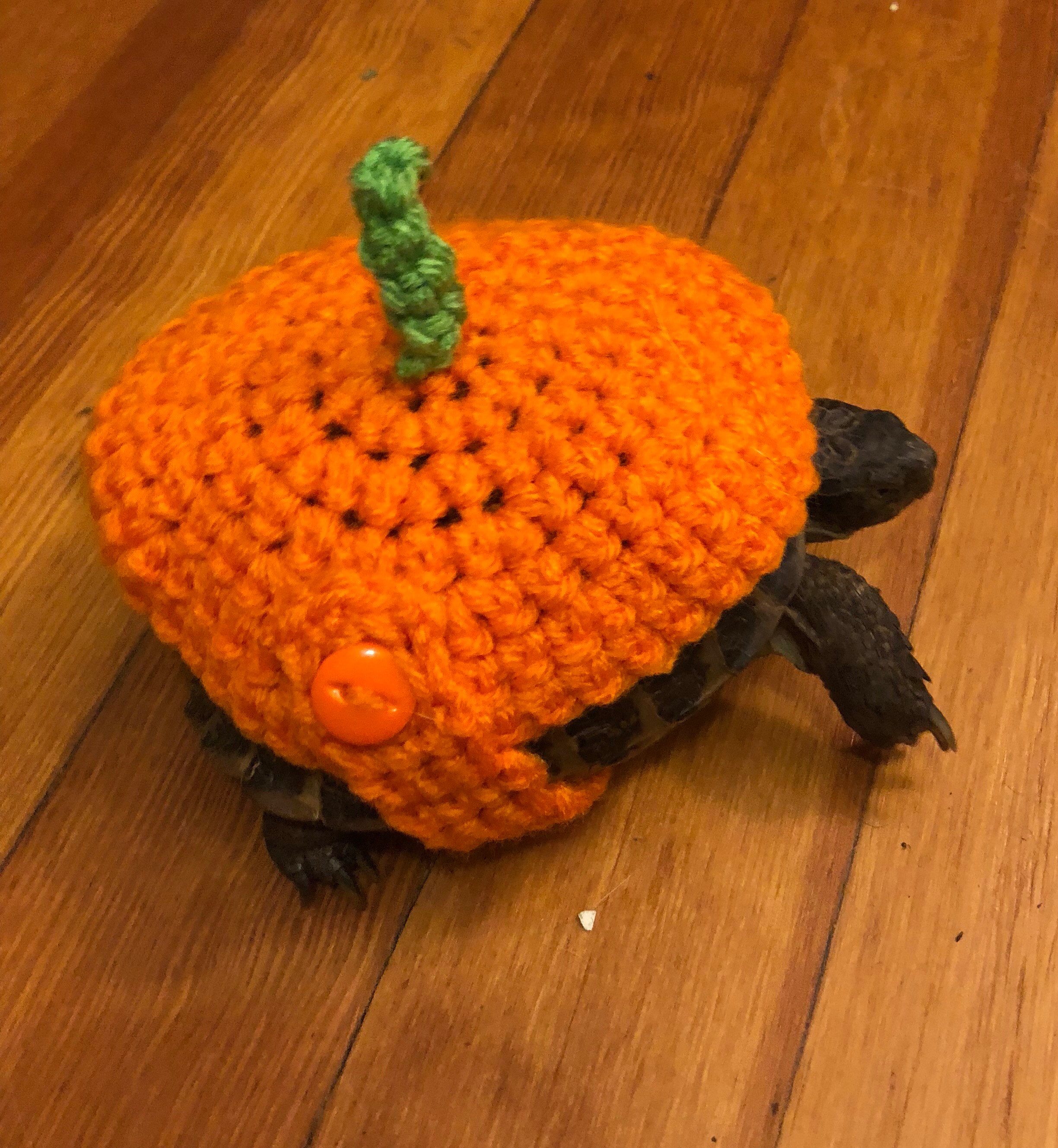 かぎ針編みのかぼちゃ型カメのコスチューム | ハロウィンのカメの帽子