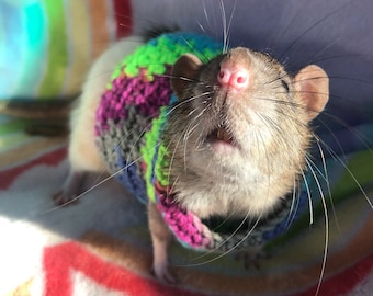 Rat Sweater for Rat Crochet Sweater for Small Pet Sweater for