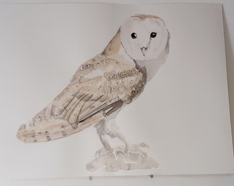 Barn Owl WATERCOLOR ORIGINAL WORK Bird Portrait Bird of Prey Owl Night Countryside Painting Owl