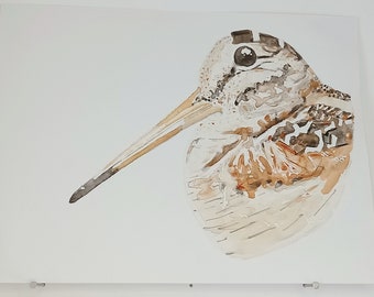 Bécasse des bois AQUARELLE ORIGINALE Camouflage Portrait d'oiseau Bois Peinture Woodcock Fôret