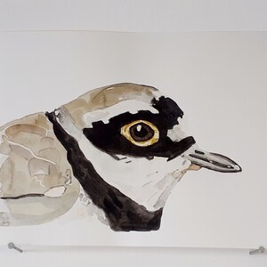 Kleiner Regenpfeifer ORIGINAL AQUARELL Vogelportrait Atlantischer Sturmtaucher Strand Gemälde Küste