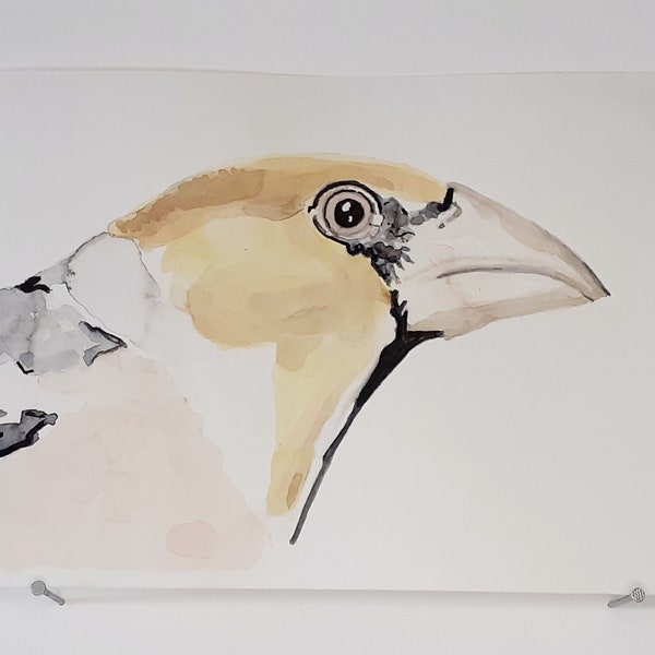 AQUARELLE ORIGINALE Portrait d'oiseau Gros Bec Jardin Home Decor Peinture Campagne