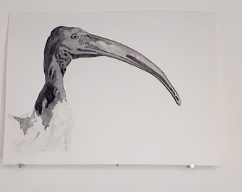 Sacred Ibis Watercolor Original Artwork Bird Portrait Home Decor Egypt Home Decor Bird Art
