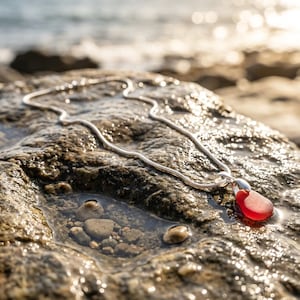 May include: A silver necklace with a red, teardrop-shaped pendant lies on a wet, textured rock. The necklace chain has a thin, snake-like design. The background shows a blurred view of the sea and sunlight.