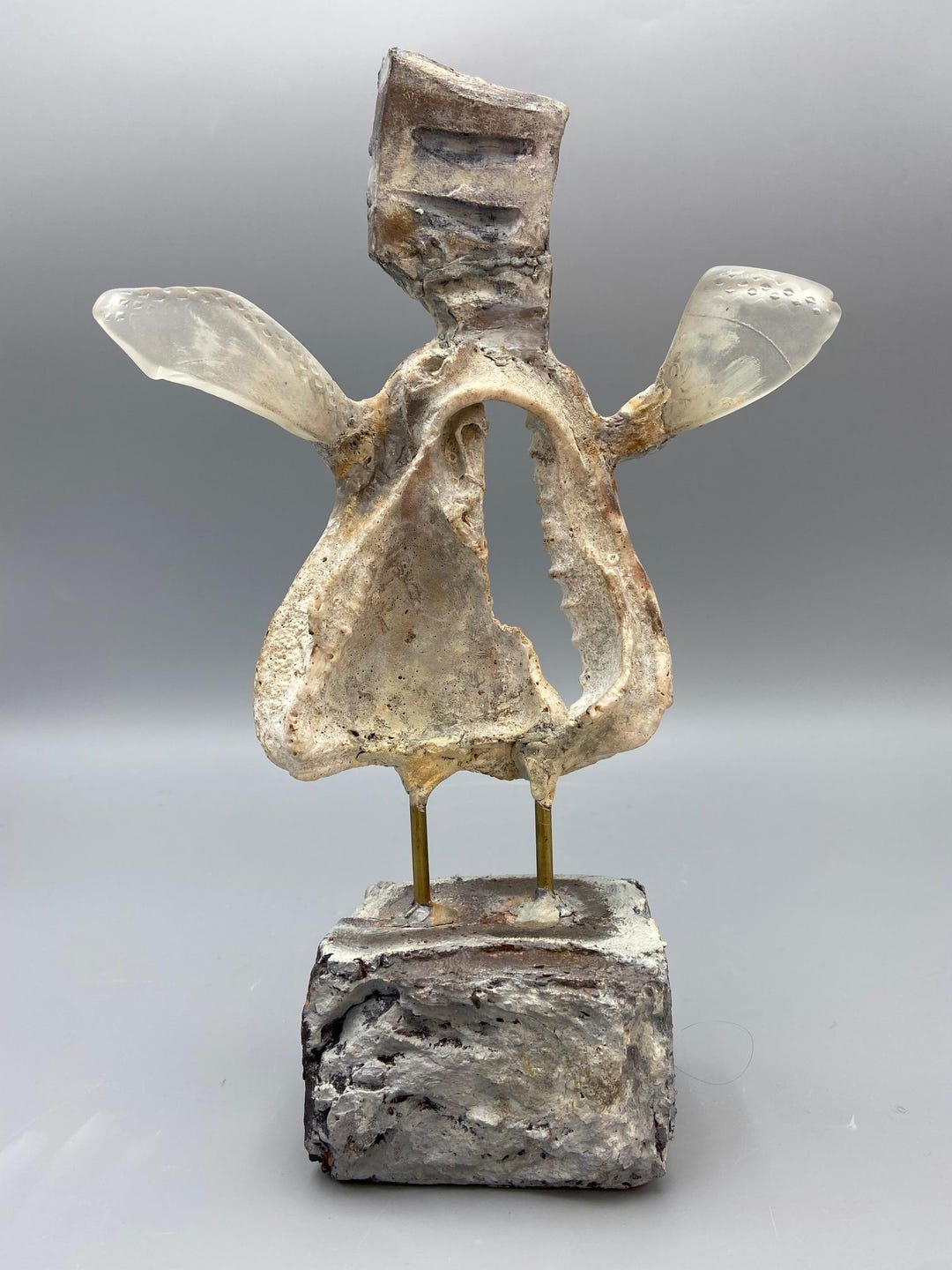 Abstract Angel 1 Shell From Raja Ampat Sculpture - Etsy