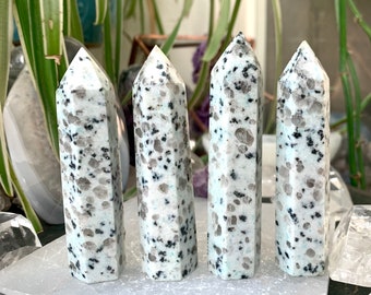 May include: Four white and black speckled crystal points, also known as Dalmatian Jasper, are arranged in a row on a white surface. The points are all approximately the same size and shape.