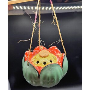 May include: A hanging ceramic planter shaped like a lotus flower with light green outer petals and a bright red inner section. The center features a yellow, perforated dome with a small, circular cork plug. It is suspended by thin, natural twine.