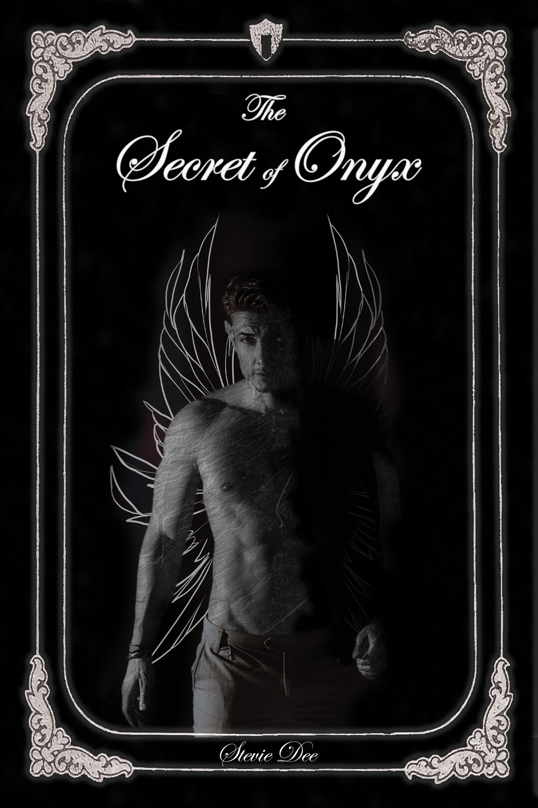 The Secret of Onyx Book 3 of the Gisburn Hall Series - Etsy