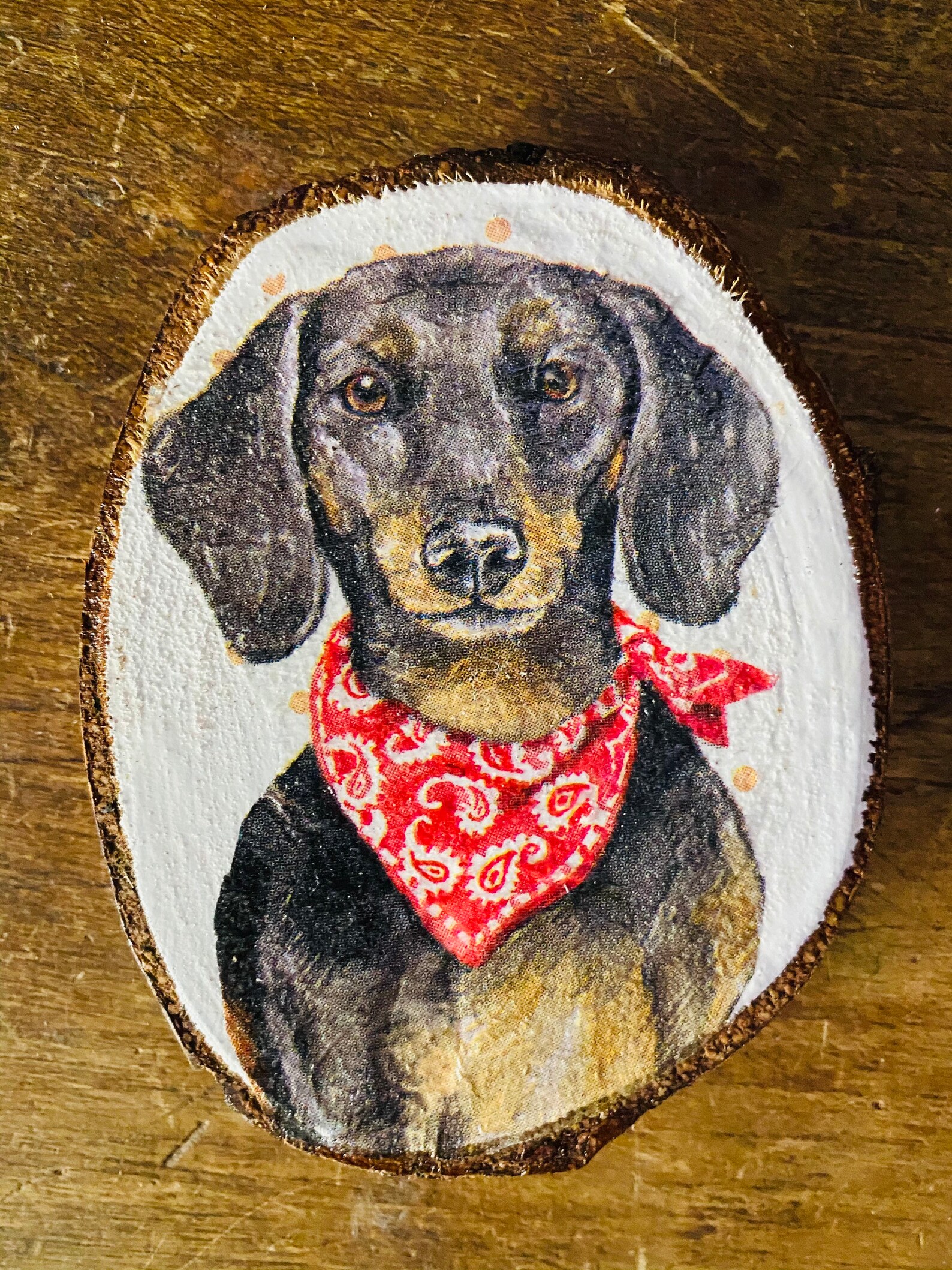Sausage dog gift set. Cup and coaster set. Ideal birthday Etsy