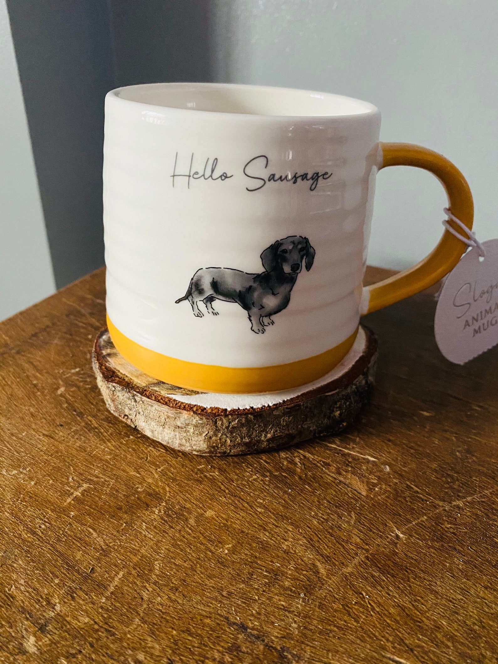 Sausage dog gift set. Cup and coaster set. Ideal birthday Etsy