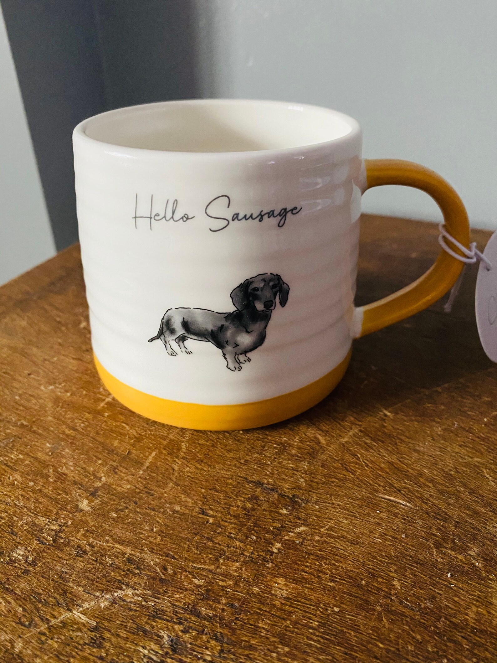 Sausage dog gift set. Cup and coaster set. Ideal birthday Etsy