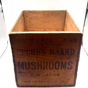 Rare Antique Mushroom Advertising Wood Crate Edward Henry Jacobs Shipping Box Farm Country Store Mercantile Primitive Vintage Storage Decor