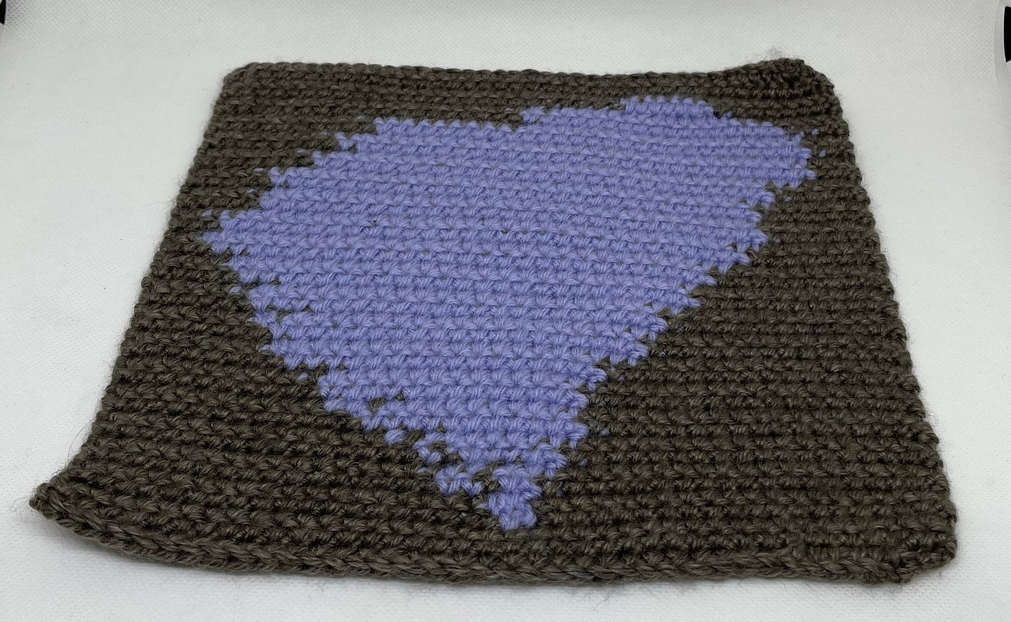 40 Graph C2C Crochet Patterns: Boost Your Skills With These Unique Designs 39 South Carolina Throw Pillow