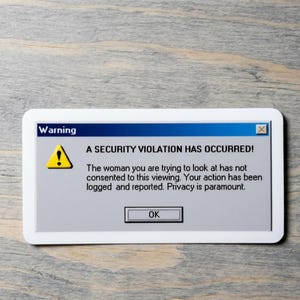 May include: A rectangular sticker featuring a computer warning pop-up window with a blue title bar labeled Warning, a yellow exclamation icon, and the text A SECURITY VIOLATION HAS OCCURRED! followed by a privacy message and an OK button.
