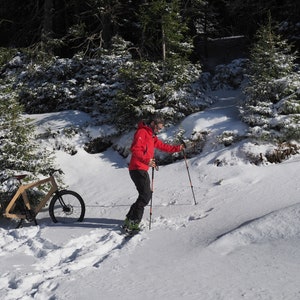 May include: A person in a red jacket and black pants walks through a snowy forest with trekking poles. A wooden bicycle is parked in the snow.
