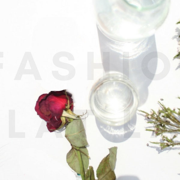 Photographie de Stock minimal à la Rose, Lay plat Minimal pour les blogueurs, Photo maquette