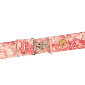 Medal Class Belt : Equestrian Cotton Belt