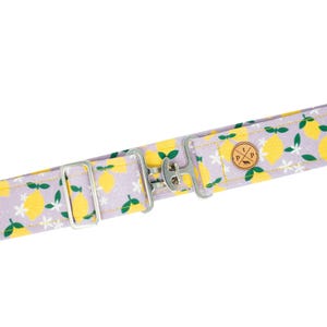 Lemonade Time Belt | Equestrian Belt, Horse Belt, Equestrian Belt, Cotton Belt, Custom Belt