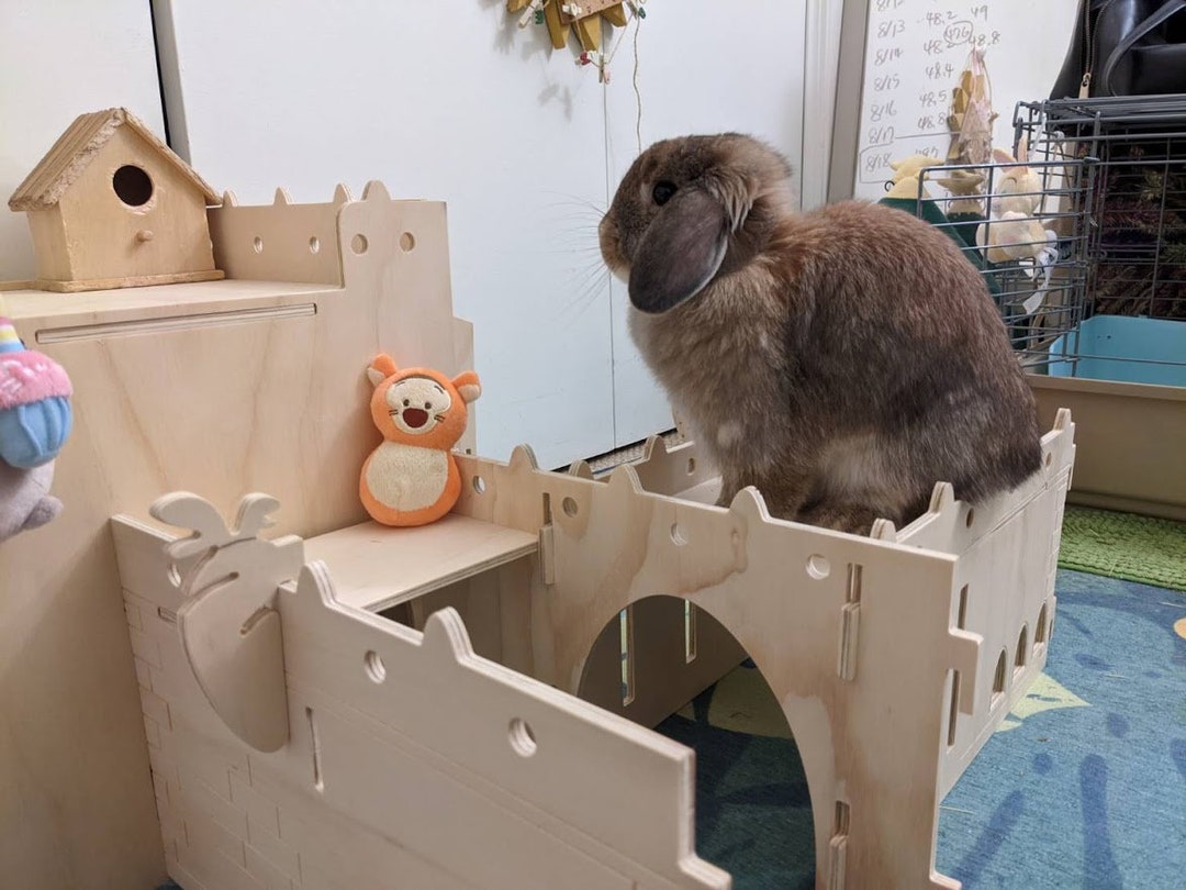 Bunny Maze, Rabbit Tunnel, Rabbit Feeder, Bunny Castle Wood, Bunny