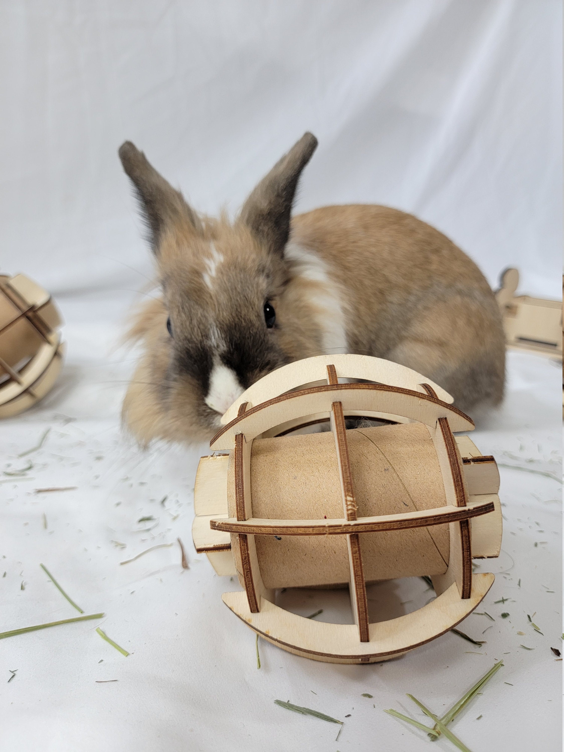 Logic toys for rabbits