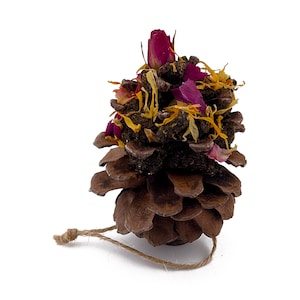 May include: A brown pinecone ornament decorated with dried flowers and a twine loop for hanging. The dried flowers include pink rose petals and yellow and orange petals.